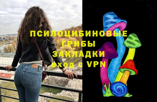 2c-b Белокуриха