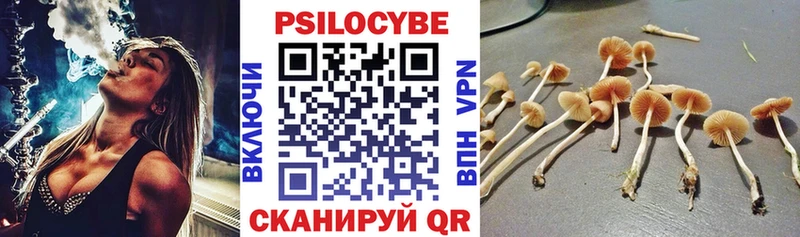 KRAKEN ССЫЛКА  Бузулук  Галлюциногенные грибы мухоморы 